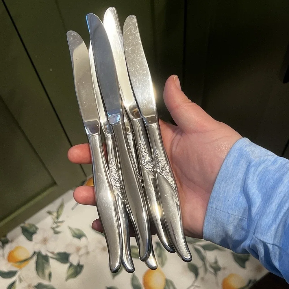 Oneida La Rose Stainless Premier Silverware 6 Dinner Knives Flatware